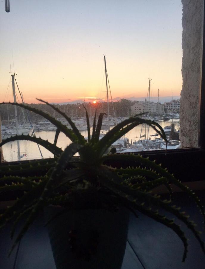 Апартаменты Petit Cocon Magnifique Vue Sur Marina Dans Le Golfe De Saint Tropez Коголин Экстерьер фото